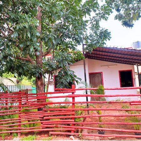 Golden Magnolia Homestay Bangalore Eksteriør billede